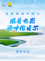 刷度快速排名